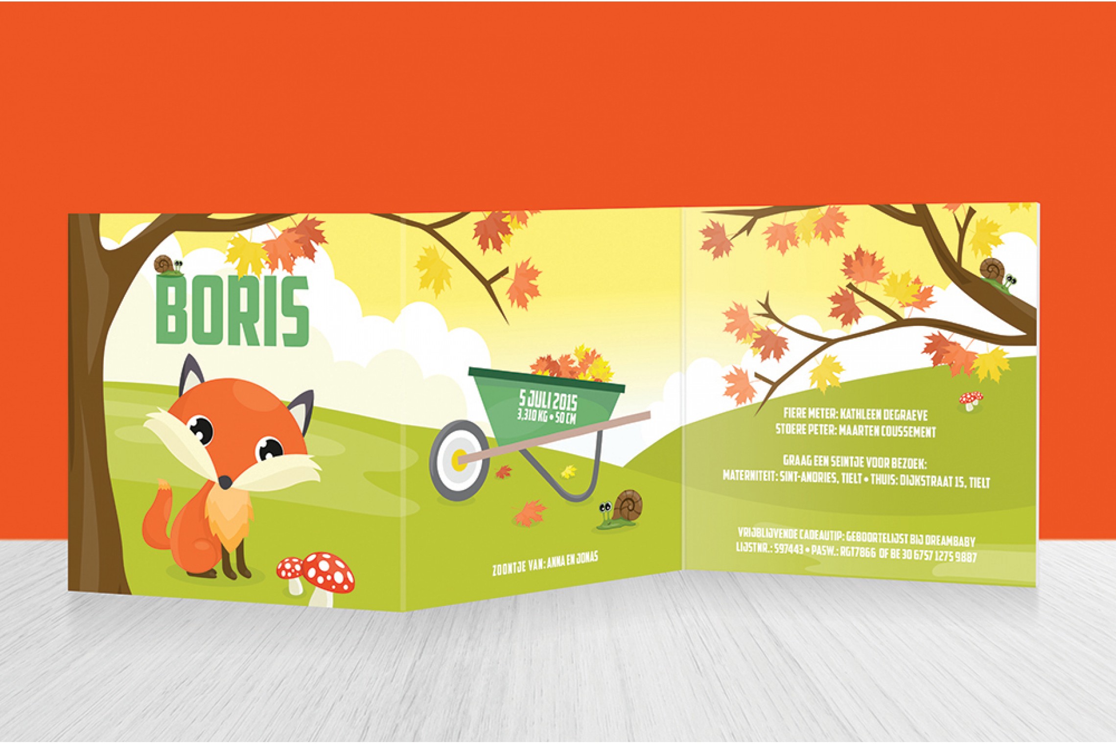 Schattig Herfst Vosje
